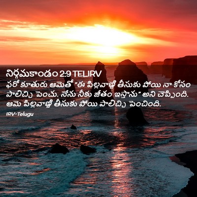 Picture 02 - నిర్గమకాండం 2:9 TELIRV - ఫరో కూతురు ఆమెతో - Bible Verse Picture