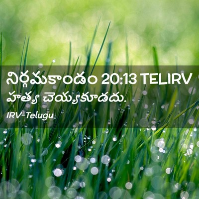 Picture 02 - నిర్గమకాండం 20:13 TELIRV - హత్య - Bible Verse Picture