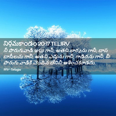 Picture 02 - నిర్గమకాండం 20:17 TELIRV - నీ పొరుగువాడి - Bible Verse Picture