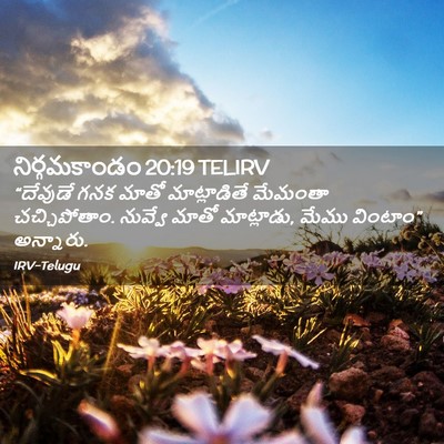 Picture 02 - నిర్గమకాండం 20:19 TELIRV - “దేవుడే గనక మాతో - Bible Verse Picture