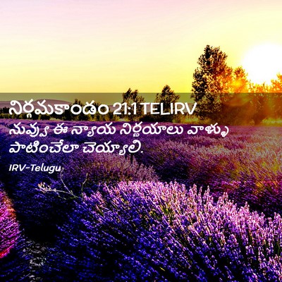 Picture 02 - నిర్గమకాండం 21:1 TELIRV - నువ్వు ఈ న్యాయ - Bible Verse Picture