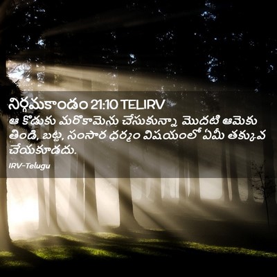 Picture 02 - నిర్గమకాండం 21:10 TELIRV - ఆ కొడుకు - Bible Verse Picture