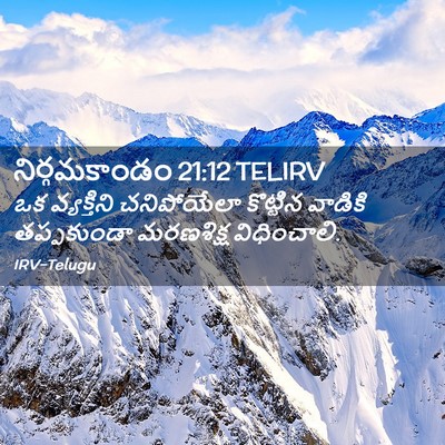 Picture 02 - నిర్గమకాండం 21:12 TELIRV - ఒక వ్యక్తిని - Bible Verse Picture