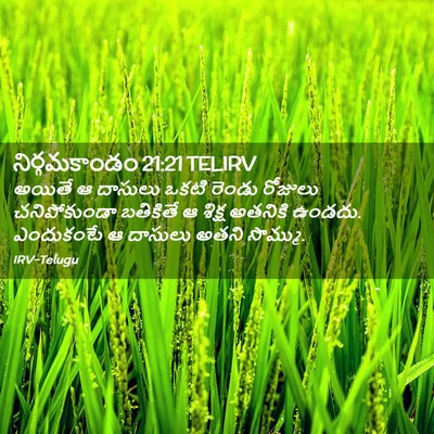 Picture 02 - నిర్గమకాండం 21:21 TELIRV - అయితే ఆ దాసులు - Bible Verse Picture