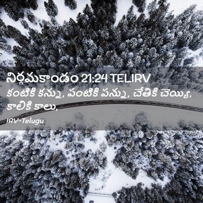 Picture 02 - నిర్గమకాండం 21:24 TELIRV - కంటికి కన్ను, - Bible Verse Picture