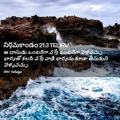 Picture 02 - నిర్గమకాండం 21:3 TELIRV - ఆ దాసుడు ఒంటరిగా - Bible Verse Picture