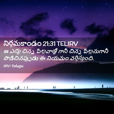 Picture 02 - నిర్గమకాండం 21:31 TELIRV - ఆ ఎద్దు చిన్న - Bible Verse Picture