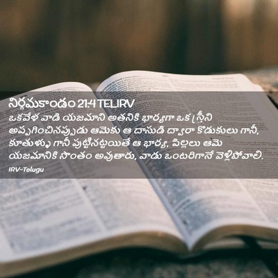 Picture 02 - నిర్గమకాండం 21:4 TELIRV - ఒకవేళ వాడి యజమాని - Bible Verse Picture