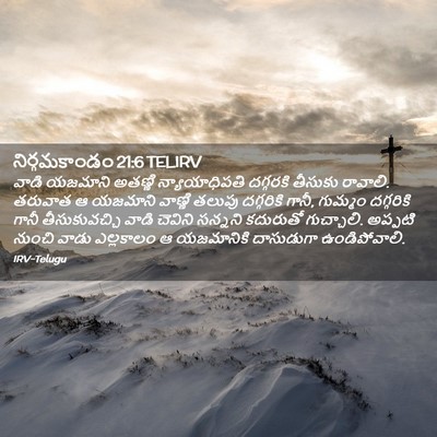 Picture 02 - నిర్గమకాండం 21:6 TELIRV - వాడి యజమాని - Bible Verse Picture