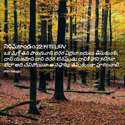 Picture 02 - నిర్గమకాండం 22:14 TELIRV - ఒక వ్యక్తి తన - Bible Verse Picture