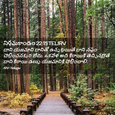 Picture 02 - నిర్గమకాండం 22:15 TELIRV - దాని యజమాని - Bible Verse Picture