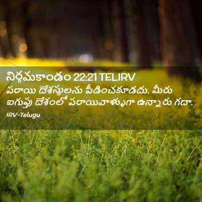 Picture 02 - నిర్గమకాండం 22:21 TELIRV - పరాయి దేశస్థులను - Bible Verse Picture