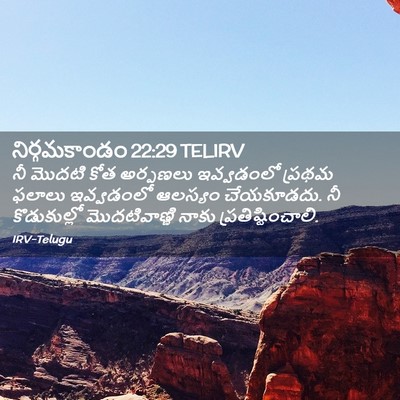 Picture 02 - నిర్గమకాండం 22:29 TELIRV - నీ మొదటి కోత - Bible Verse Picture