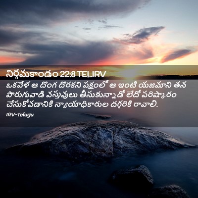 Picture 02 - నిర్గమకాండం 22:8 TELIRV - ఒకవేళ ఆ దొంగ - Bible Verse Picture