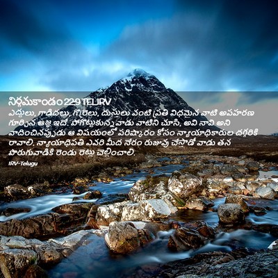 Picture 02 - నిర్గమకాండం 22:9 TELIRV - ఎద్దులు, గాడిదలు, - Bible Verse Picture
