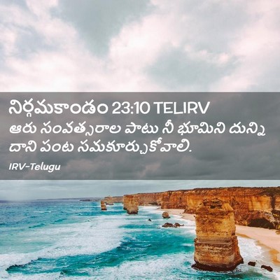 Picture 02 - నిర్గమకాండం 23:10 TELIRV - ఆరు సంవత్సరాల - Bible Verse Picture
