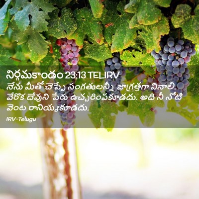 Picture 02 - నిర్గమకాండం 23:13 TELIRV - నేను మీతో చెప్పే - Bible Verse Picture