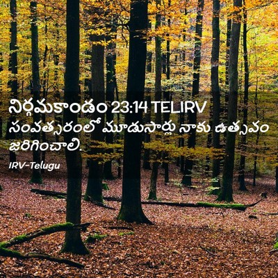 Picture 02 - నిర్గమకాండం 23:14 TELIRV - సంవత్సరంలో - Bible Verse Picture