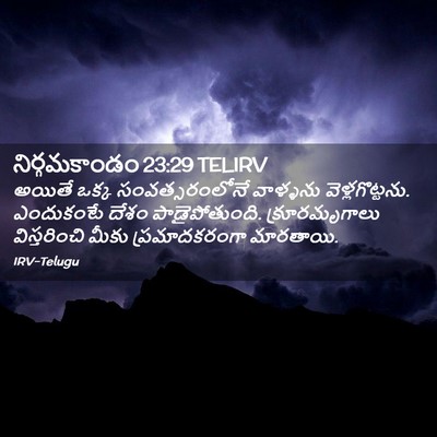 Picture 02 - నిర్గమకాండం 23:29 TELIRV - అయితే ఒక్క - Bible Verse Picture