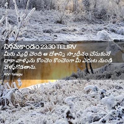 Picture 02 - నిర్గమకాండం 23:30 TELIRV - మీరు వృద్ధి చెంది - Bible Verse Picture
