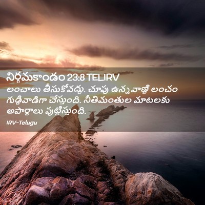 Picture 02 - నిర్గమకాండం 23:8 TELIRV - లంచాలు - Bible Verse Picture