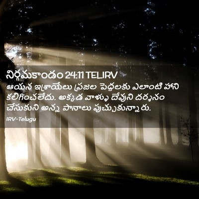Picture 02 - నిర్గమకాండం 24:11 TELIRV - ఆయన ఇశ్రాయేలు - Bible Verse Picture