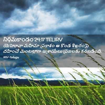 Picture 02 - నిర్గమకాండం 24:17 TELIRV - యెహోవా మహిమా - Bible Verse Picture