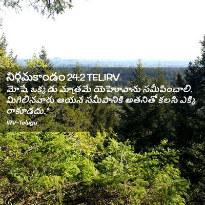 Picture 02 - నిర్గమకాండం 24:2 TELIRV - మోషే ఒక్కడు - Bible Verse Picture