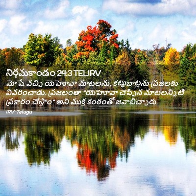 Picture 02 - నిర్గమకాండం 24:3 TELIRV - మోషే వచ్చి యెహోవా - Bible Verse Picture