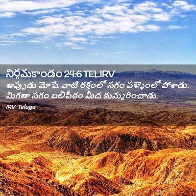Picture 02 - నిర్గమకాండం 24:6 TELIRV - అప్పుడు మోషే వాటి - Bible Verse Picture