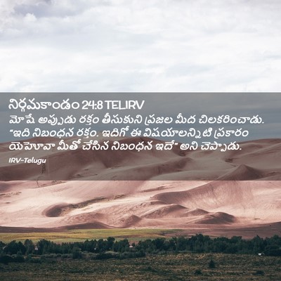 Picture 02 - నిర్గమకాండం 24:8 TELIRV - మోషే అప్పుడు - Bible Verse Picture