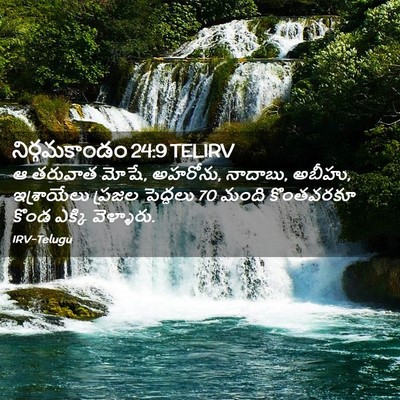 Picture 02 - నిర్గమకాండం 24:9 TELIRV - ఆ తరువాత మోషే, - Bible Verse Picture