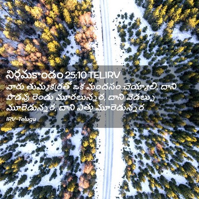 Picture 02 - నిర్గమకాండం 25:10 TELIRV - వారు తుమ్మకర్రతో - Bible Verse Picture