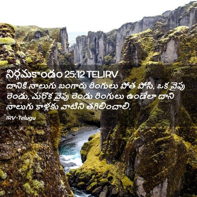 Picture 02 - నిర్గమకాండం 25:12 TELIRV - దానికి నాలుగు - Bible Verse Picture