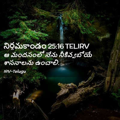 Picture 02 - నిర్గమకాండం 25:16 TELIRV - ఆ మందసంలో నేను - Bible Verse Picture