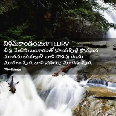 Picture 02 - నిర్గమకాండం 25:17 TELIRV - నీవు మేలిమి - Bible Verse Picture