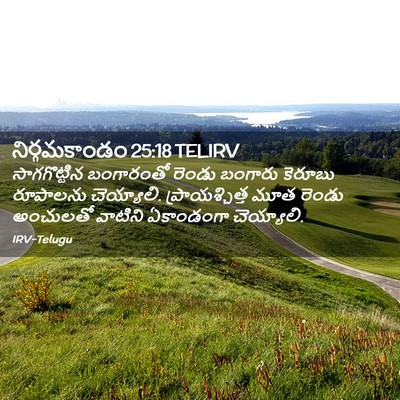 Picture 02 - నిర్గమకాండం 25:18 TELIRV - సాగగొట్టిన - Bible Verse Picture