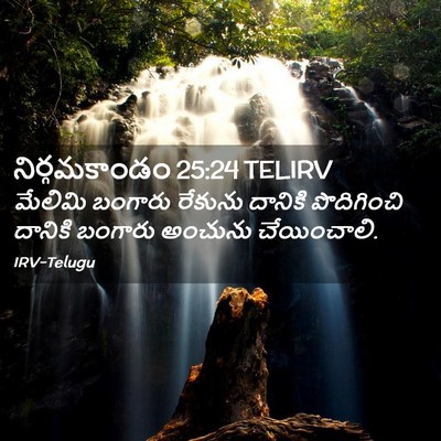 Picture 02 - నిర్గమకాండం 25:24 TELIRV - మేలిమి బంగారు - Bible Verse Picture