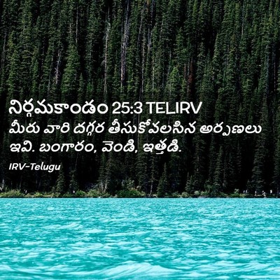 Picture 02 - నిర్గమకాండం 25:3 TELIRV - మీరు వారి దగ్గర - Bible Verse Picture