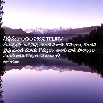 Picture 02 - నిర్గమకాండం 25:32 TELIRV - దీప వృక్షం ఒక వైపు - Bible Verse Picture