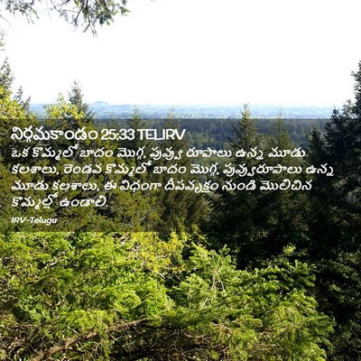 Picture 02 - నిర్గమకాండం 25:33 TELIRV - ఒక కొమ్మలో బాదం - Bible Verse Picture