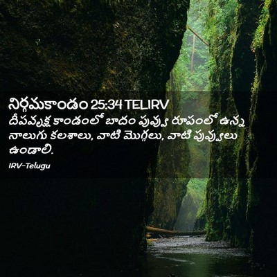 Picture 02 - నిర్గమకాండం 25:34 TELIRV - దీపవృక్ష కాండంలో - Bible Verse Picture