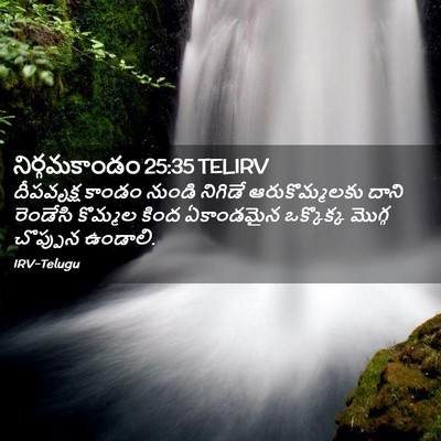 Picture 02 - నిర్గమకాండం 25:35 TELIRV - దీపవృక్ష కాండం - Bible Verse Picture