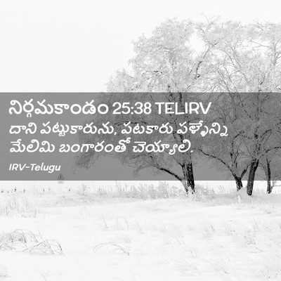Picture 02 - నిర్గమకాండం 25:38 TELIRV - దాని పట్టుకారును, - Bible Verse Picture