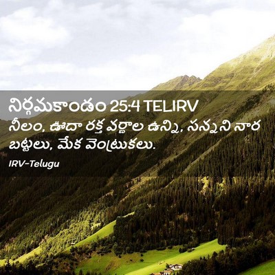 Picture 02 - నిర్గమకాండం 25:4 TELIRV - నీలం, ఊదా రక్త - Bible Verse Picture