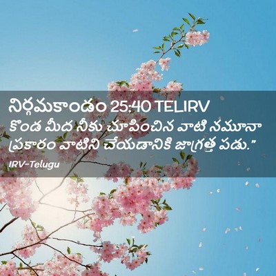 Picture 02 - నిర్గమకాండం 25:40 TELIRV - కొండ మీద నీకు - Bible Verse Picture