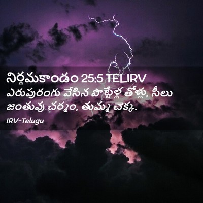 Picture 02 - నిర్గమకాండం 25:5 TELIRV - ఎరుపురంగు వేసిన - Bible Verse Picture