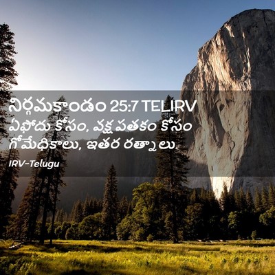 Picture 02 - నిర్గమకాండం 25:7 TELIRV - ఏఫోదు కోసం, వక్ష - Bible Verse Picture