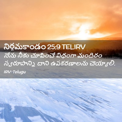 Picture 02 - నిర్గమకాండం 25:9 TELIRV - నేను నీకు చూపించే - Bible Verse Picture