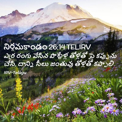 Picture 02 - నిర్గమకాండం 26:14 TELIRV - ఎర్ర రంగు వేసిన - Bible Verse Picture